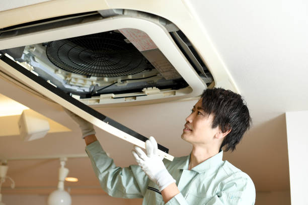 Best Affordable HVAC Duct Cleaning  in Albion, NY
